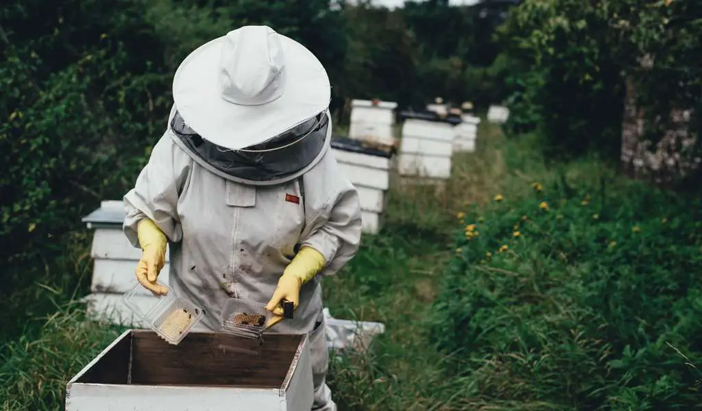 18 Gift Ideas for Bee Lovers and Beekeepers