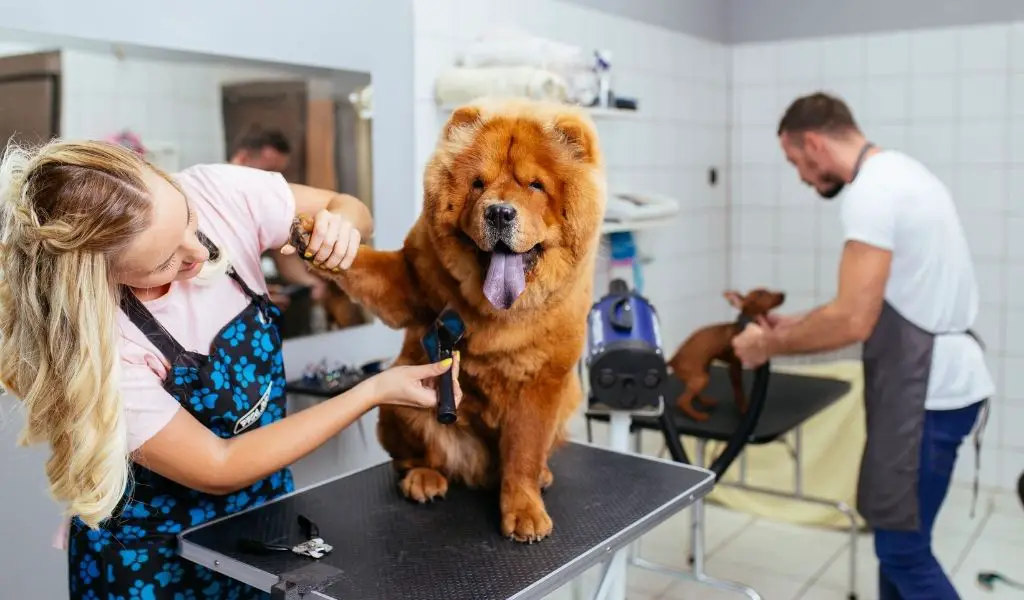 14 Woofing Great Gifts for Dog Groomers